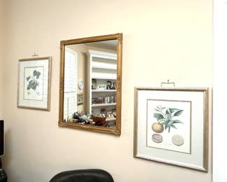 Mirror- Framed Prints 