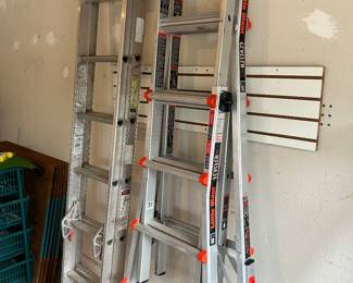 Ladders!  Includes a Little Giant