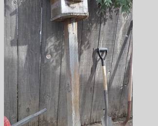 Several Bird Houses throughout the Back Yard