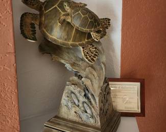 Bronze Sea Turtle