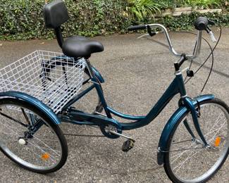 Adult Tricycle