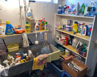 Plenty of cleaning supplies
