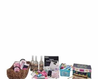 Bath and Beauty Lot Handy Solution Digital Bathroom Scale Sanitizer lot of other items