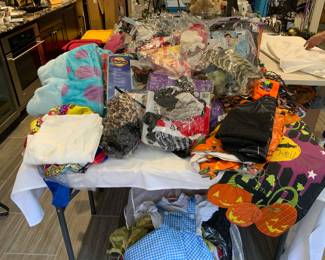 Tons of Halloween costumes