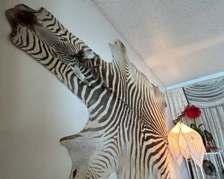 African Zebra Hide