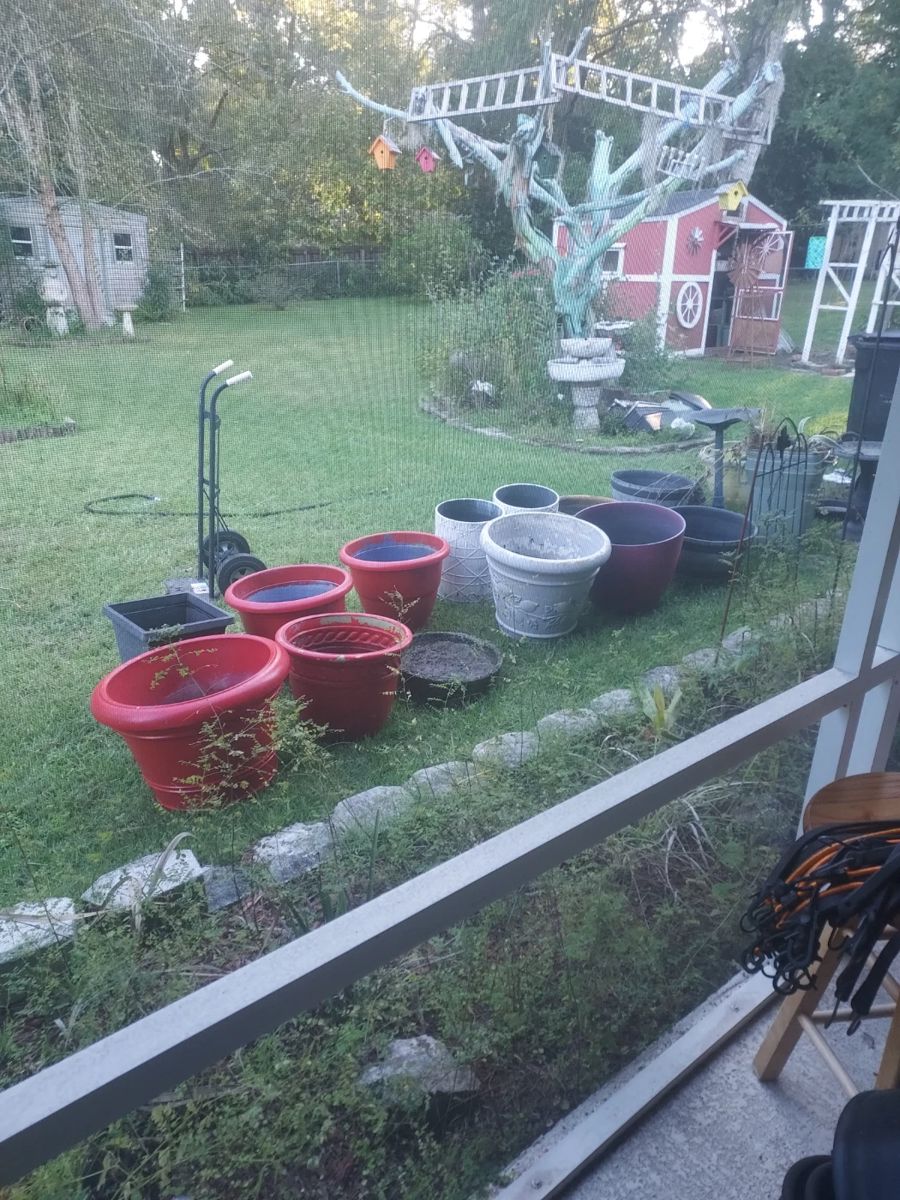 Estate sale Something for everyone in Gainesville, FL starts on 10/20/2023