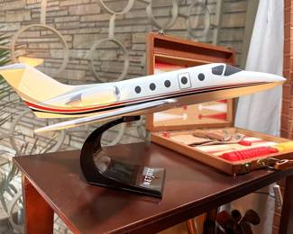 NetJet model
