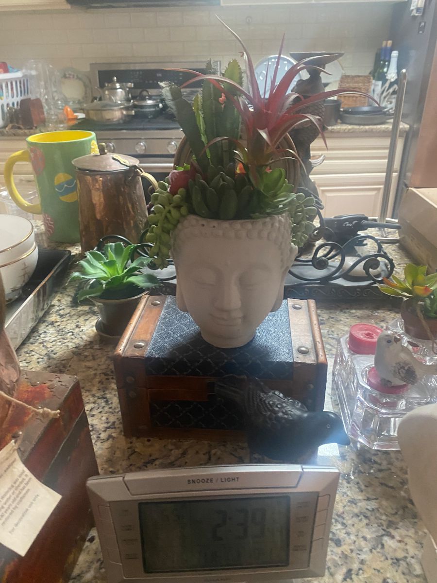 McKenzie Estate Sales(Point Pleasant NJ) starts on 10/19/2023