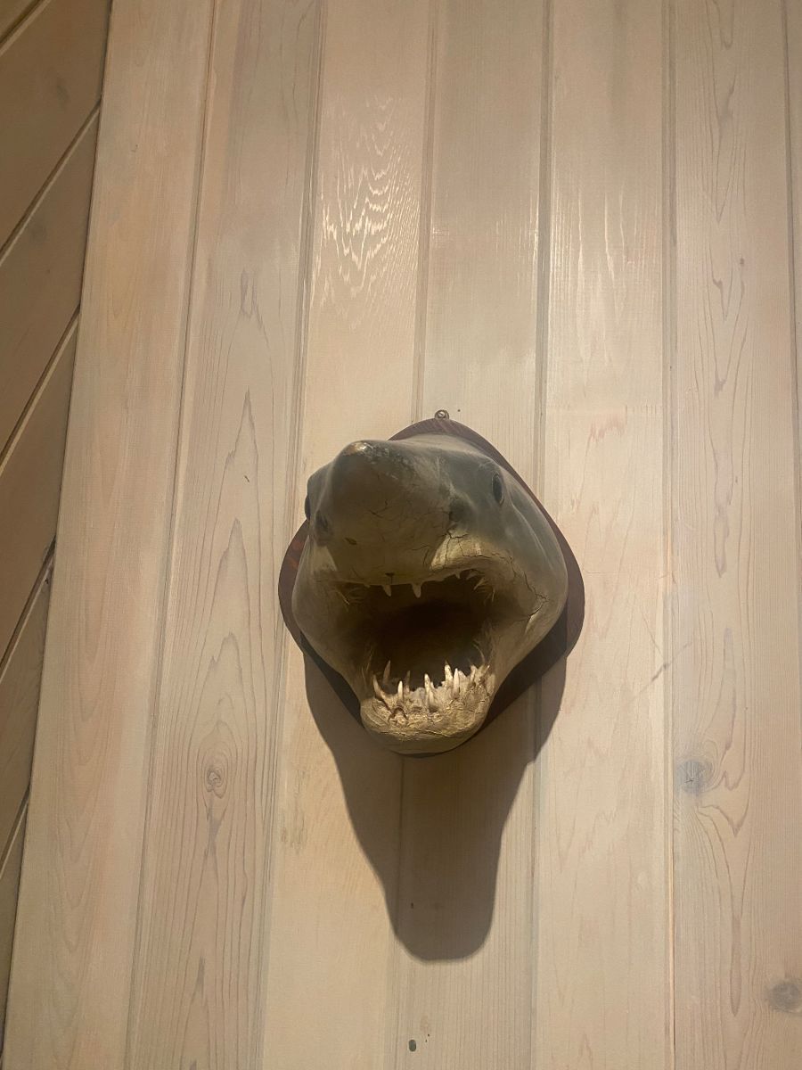 McKenzie Estate Sales(Point Pleasant NJ) starts on 10/19/2023