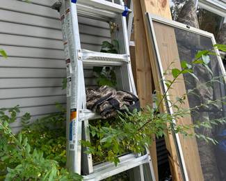 WERNER 25' Ladder