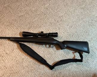 Windchester 350 legend Vortex scope 4x44