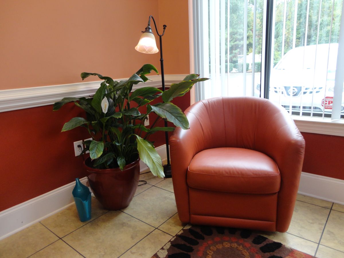 18" Peace Lilly Plant (Spathiphyllum)