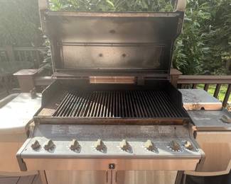 64. Weber Summit Platinum 6 Burner Grill w/ Side Burner 42761