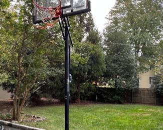 175. Basketball Hoop