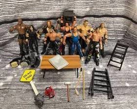 Wrestling action figures