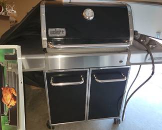 Weber Genesis gas grill