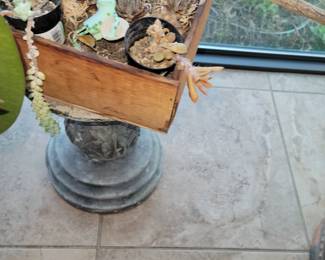Plants