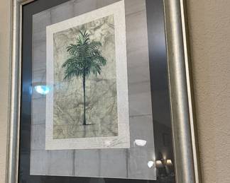 Framed Print Palm Tree
