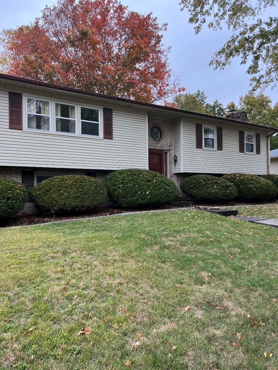 Blue Moon Estate Sale in Lexington's South... starts on 11/4/2023