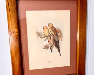One of three John Gould colored bird prints.