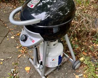 Nice electric grill.