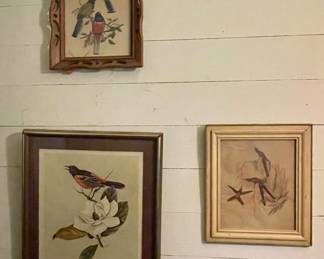 Vintage bird pictures.