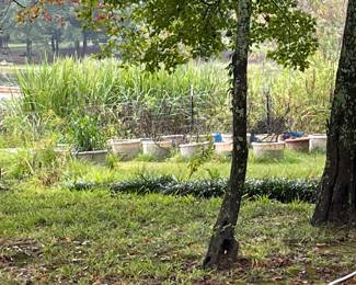 Tubs used as raised garden containers
22 inches wide and 16 inches tall