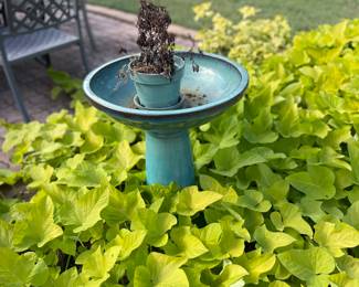 Elegant birdbath