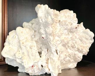 $200  natural coral - 11 x 6 x 8