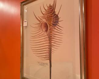 $150; 22 x 26; seashell framed art by Thomasville (3 additional coordinating)