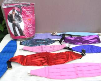 kids and adult costume/ accessories