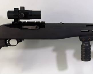 Ruger 10/22 .22 LR Rifle SN# 259-04234, 1x30 ST Scope