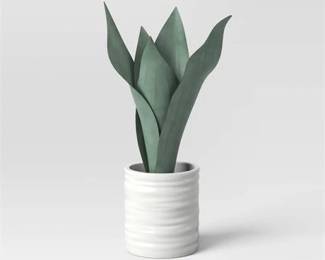 Lot 031   1 Bid(s)
New Small Artificial Snake Plant in Pot - Threshold