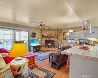 living room furniture, TV, art, lamps, magazine holder, area rugs