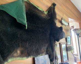 Bear rug 
