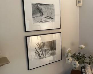 Framed Professional Photographs