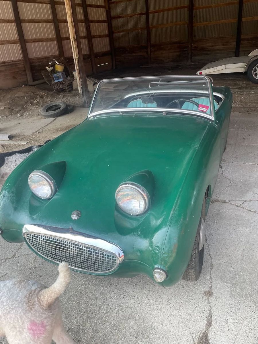 Austin Healey Bug Eye Sprite