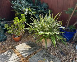 The plant on the left was sold.