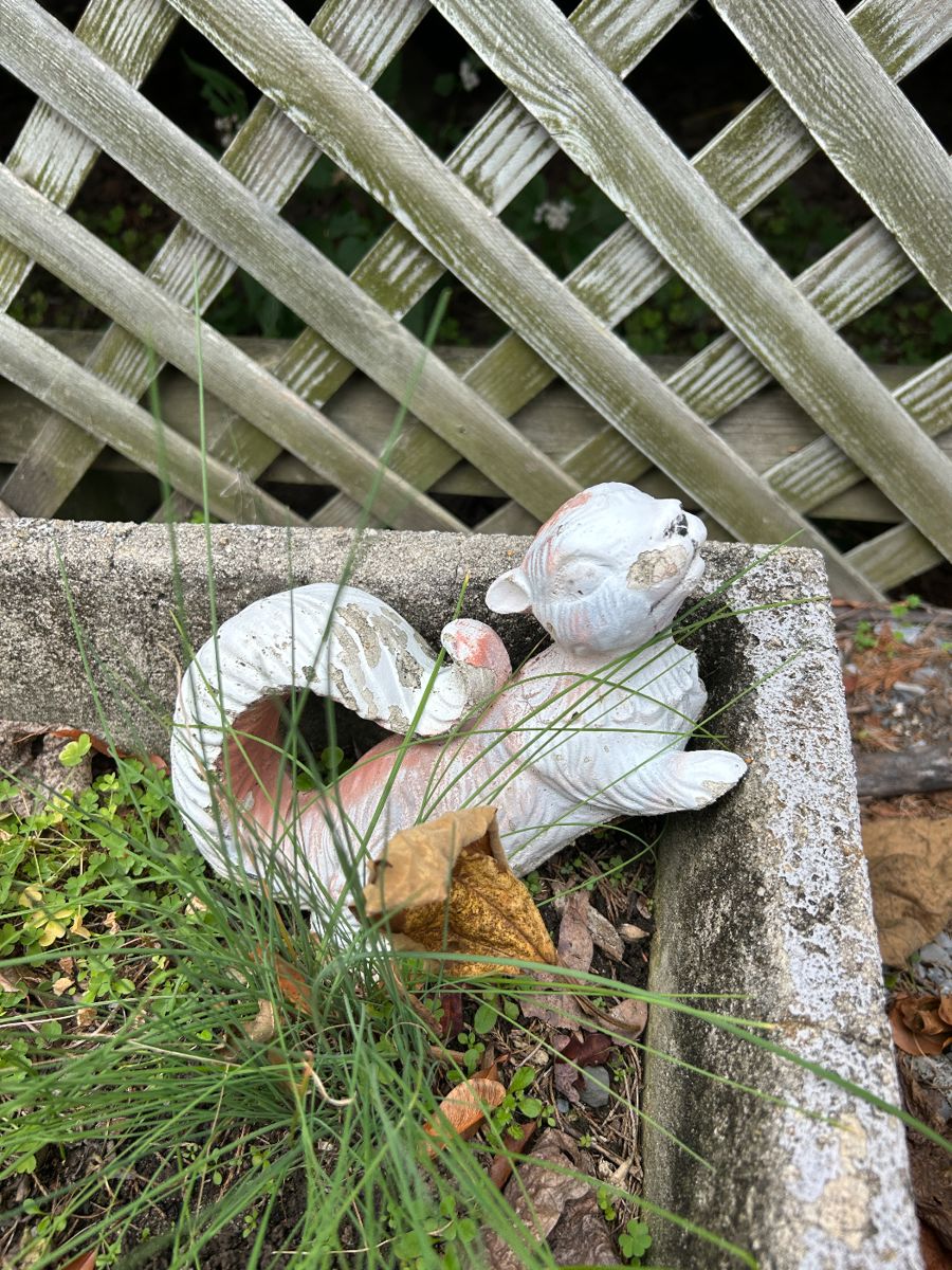 Hammonton Estate Sale Extravaganza ! Starts... starts on 11/3/2023