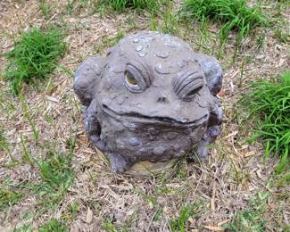 Have you seen my Sister