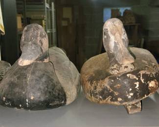 Duck Decoys
