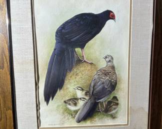 Original Watercolor of Imperial Pheasant by TIMOTHY GREENWOOD 