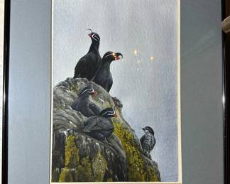 Original Watercolor of Auklets by M MARCUSON