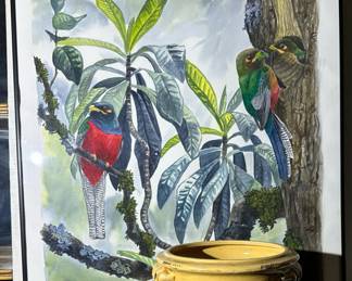 Original Watercolor of Bar-Tailed Trogon by DANIEL LANE