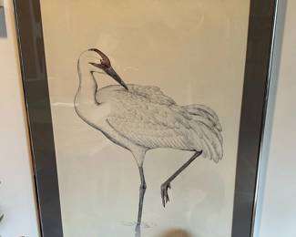 Original Drawing Whooping Crane by PAUL JOHNSGARD