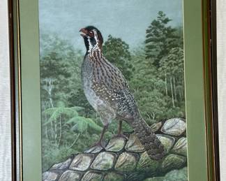 Original Watercolor of Harlequin (Montezuma) Quail by CLAREMONT GALE PRITCHARD