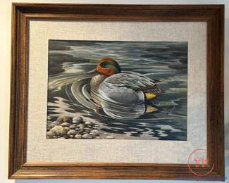 Original Watercolor Common Teal by DAVID BINNS