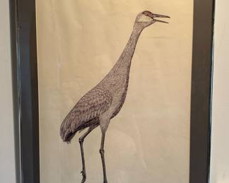Original Drawing Sandhill Crane by PAUL JOHNSGARD