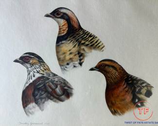 Original Watercolor of 3 Wood Quail Heads by TIMOTHY GREENWOOD 