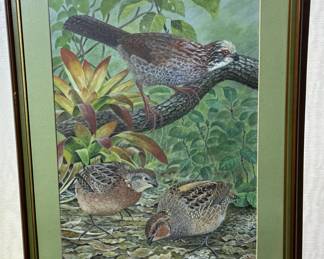 Original Watercolor of Long-Tailed Quail by CLAREMONT GALE PRITCHARD